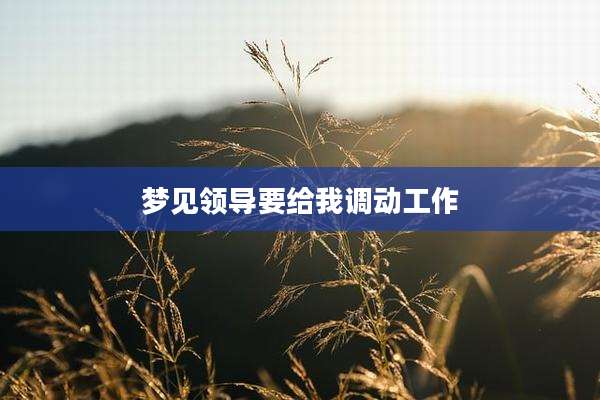 梦见领导要给我调动工作