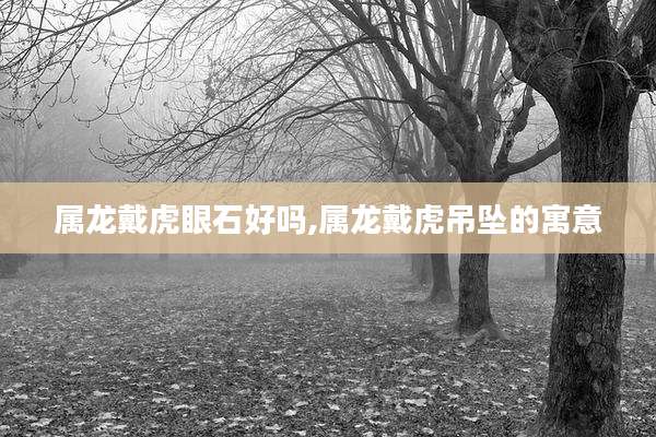 属龙戴虎眼石好吗,属龙戴虎吊坠的寓意