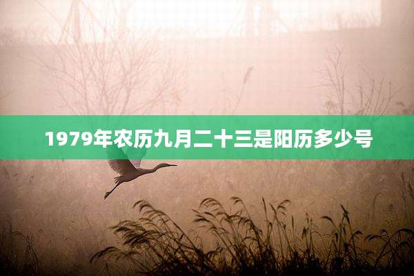 1979年农历九月二十三是阳历多少号