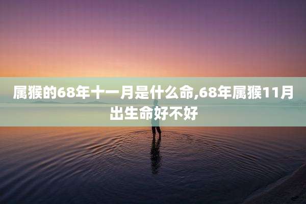 属猴的68年十一月是什么命,68年属猴11月出生命好不好