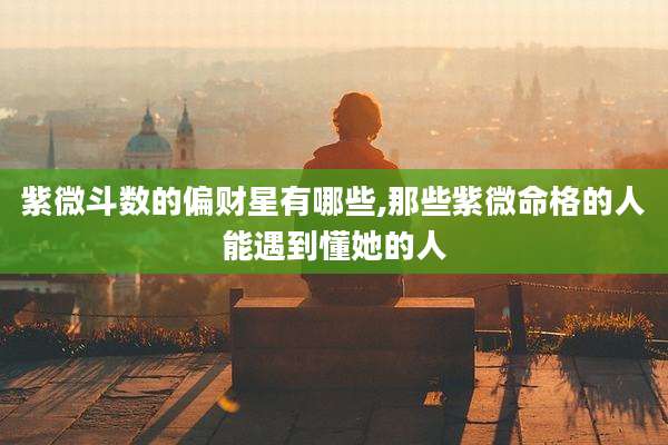 紫微斗数的偏财星有哪些,那些紫微命格的人能遇到懂她的人