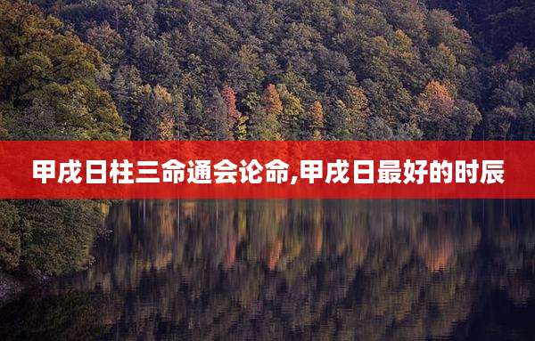 甲戌日柱三命通会论命,甲戌日最好的时辰