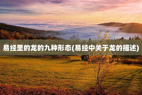 易经里的龙的九种形态(易经中关于龙的描述)