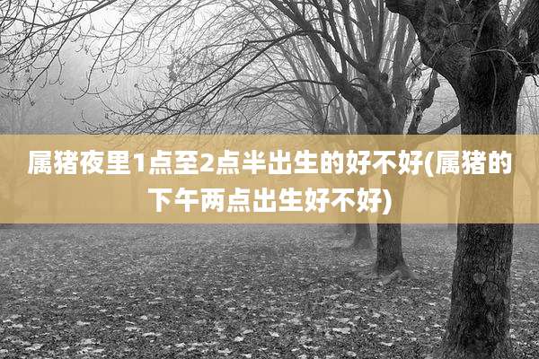 属猪夜里1点至2点半出生的好不好(属猪的下午两点出生好不好)