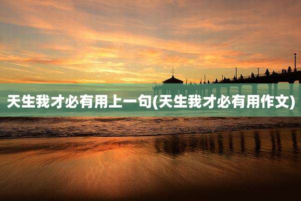 天生我才必有用上一句(天生我才必有用作文)