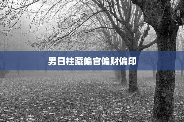 男日柱藏偏官偏财偏印