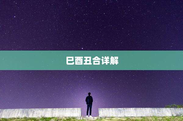 巳酉丑合详解
