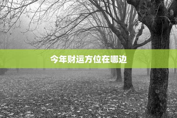 今年财运方位在哪边