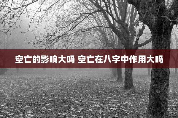空亡的影响大吗 空亡在八字中作用大吗