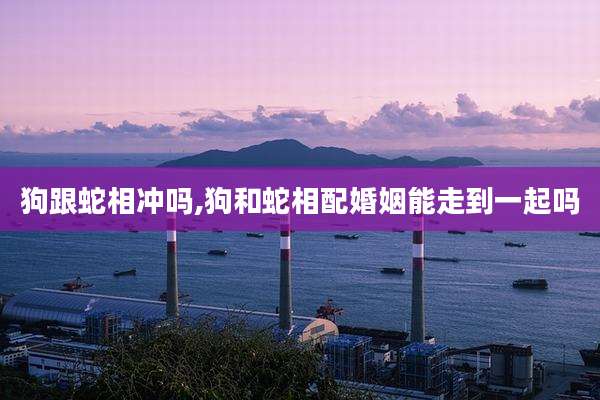 狗跟蛇相冲吗,狗和蛇相配婚姻能走到一起吗