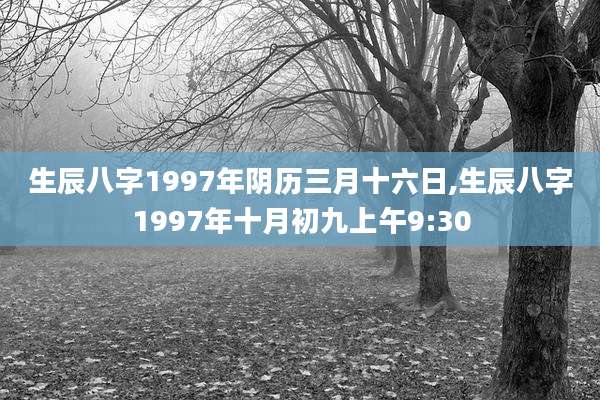 生辰八字1997年阴历三月十六日,生辰八字1997年十月初九上午9:30