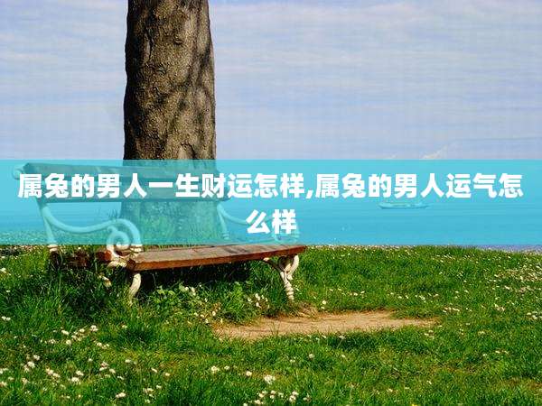 属兔的男人一生财运怎样,属兔的男人运气怎么样