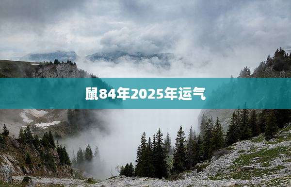 鼠84年2025年运气
