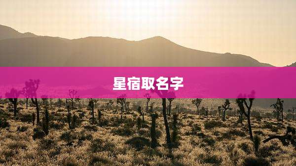 星宿取名字