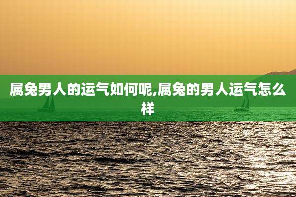 属兔男人的运气如何呢,属兔的男人运气怎么样