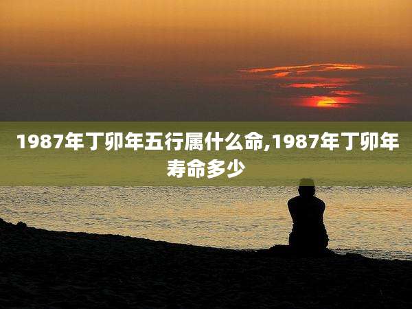 1987年丁卯年五行属什么命,1987年丁卯年寿命多少