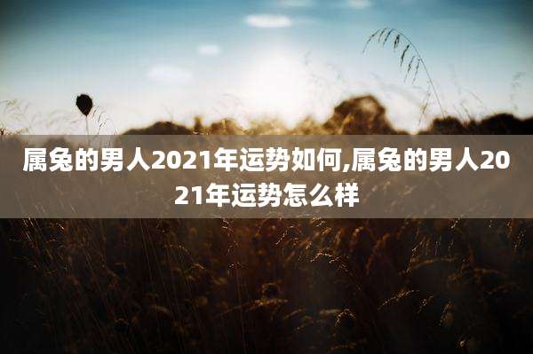 属兔的男人2021年运势如何,属兔的男人2021年运势怎么样