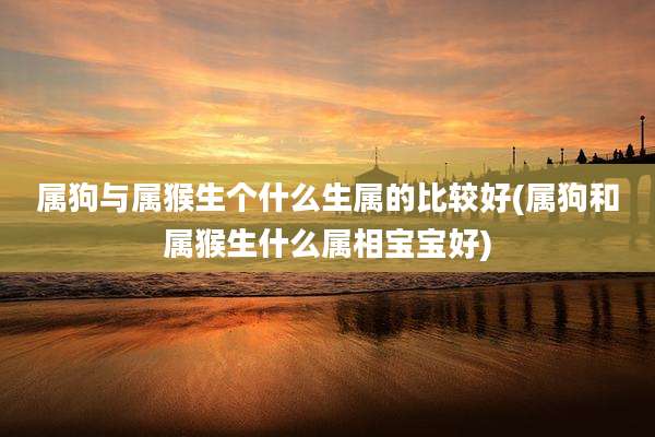 属狗与属猴生个什么生属的比较好(属狗和属猴生什么属相宝宝好)