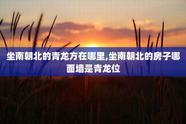 坐南朝北的青龙方在哪里,坐南朝北的房子哪面墙是青龙位