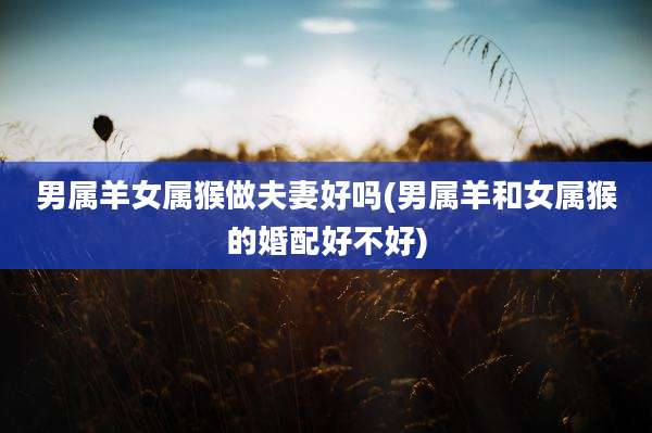 男属羊女属猴做夫妻好吗(男属羊和女属猴的婚配好不好)