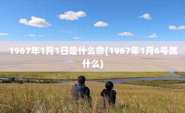 1967年1月1日是什么命(1967年1月6号属什么)
