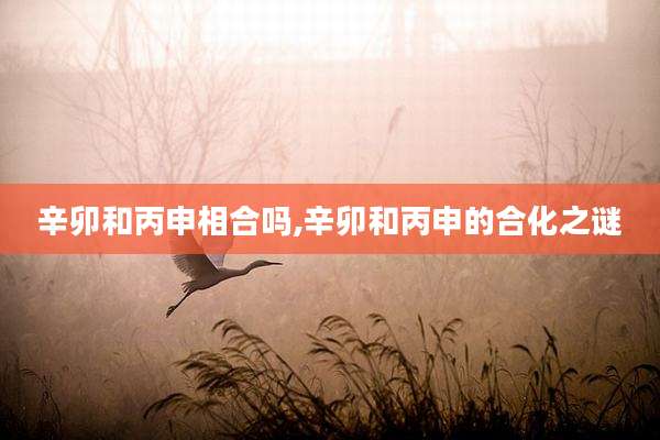 辛卯和丙申相合吗,辛卯和丙申的合化之谜