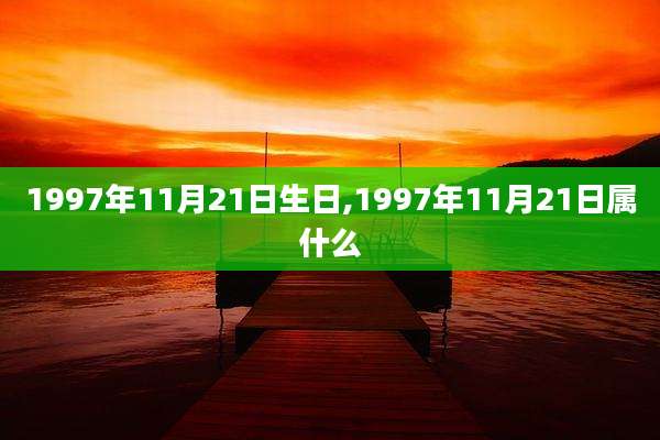 1997年11月21日生日,1997年11月21日属什么