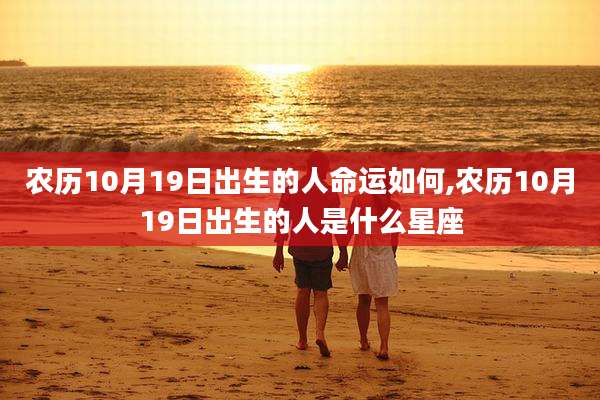 农历10月19日出生的人命运如何,农历10月19日出生的人是什么星座