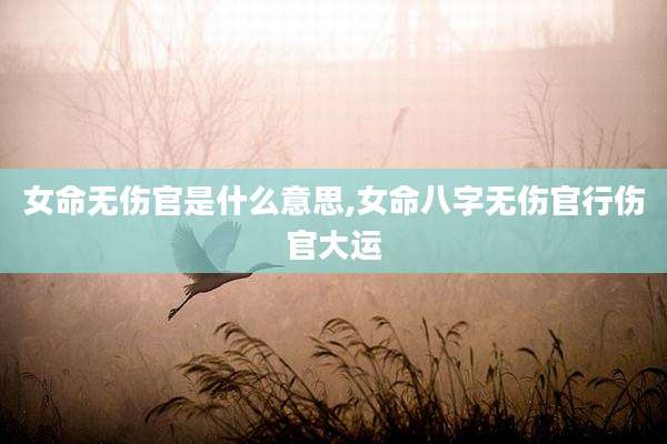 女命无伤官是什么意思,女命八字无伤官行伤官大运