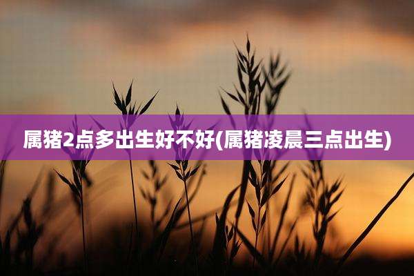 属猪2点多出生好不好(属猪凌晨三点出生)