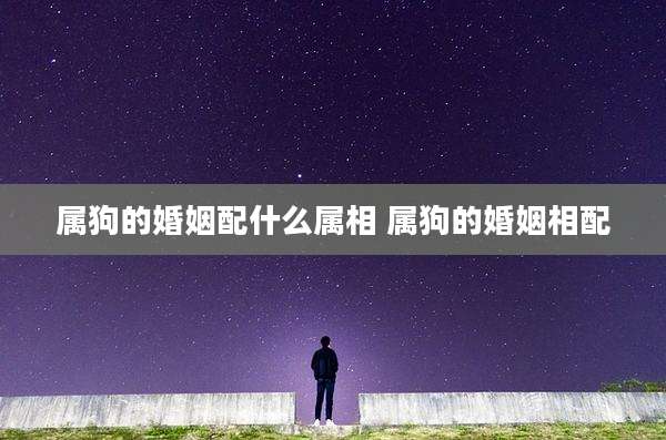 属狗的婚姻配什么属相 属狗的婚姻相配