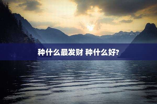 种什么最发财 种什么好?