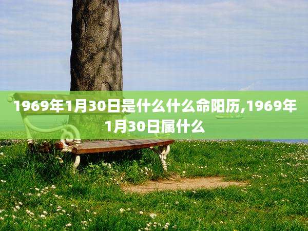 1969年1月30日是什么什么命阳历,1969年1月30日属什么