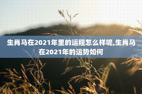 生肖马在2021年里的运程怎么样呢,生肖马在2021年的运势如何