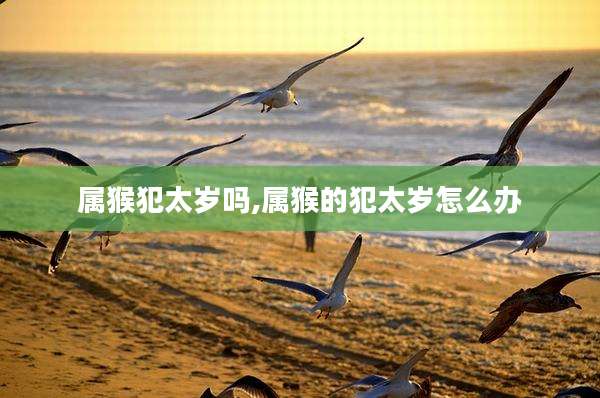 属猴犯太岁吗,属猴的犯太岁怎么办