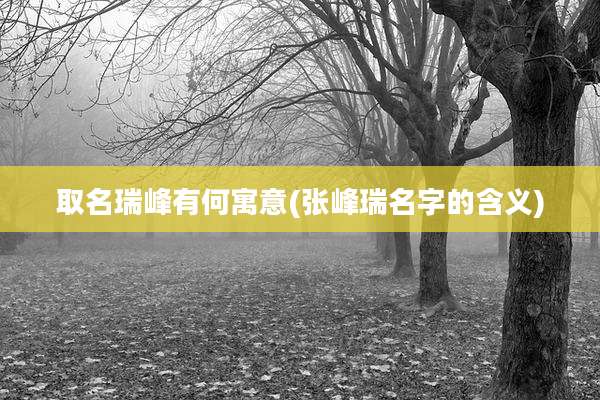取名瑞峰有何寓意(张峰瑞名字的含义)
