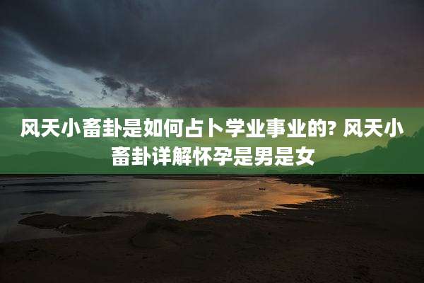 风天小畜卦是如何占卜学业事业的? 风天小畜卦详解怀孕是男是女