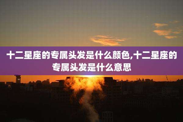 十二星座的专属头发是什么颜色,十二星座的专属头发是什么意思