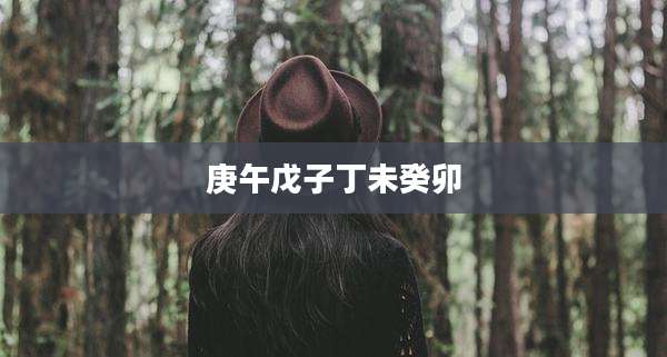 庚午戊子丁未癸卯