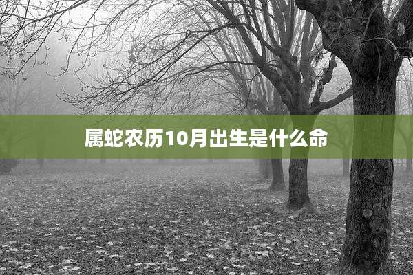 属蛇农历10月出生是什么命