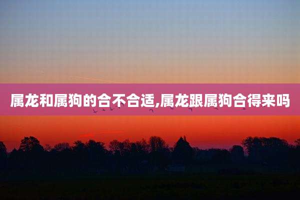 属龙和属狗的合不合适,属龙跟属狗合得来吗
