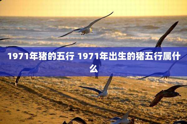 1971年猪的五行 1971年出生的猪五行属什么