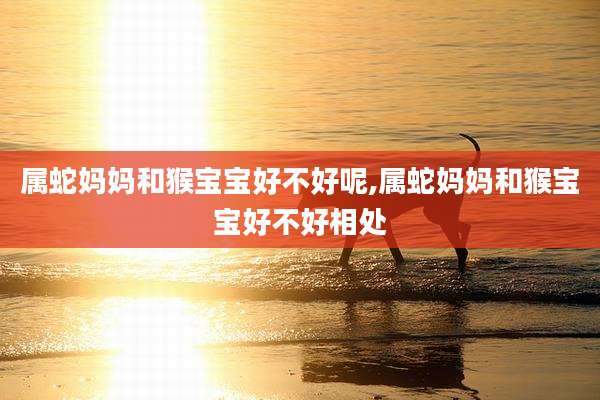 属蛇妈妈和猴宝宝好不好呢,属蛇妈妈和猴宝宝好不好相处