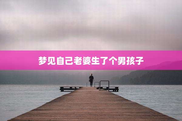 梦见自己老婆生了个男孩子