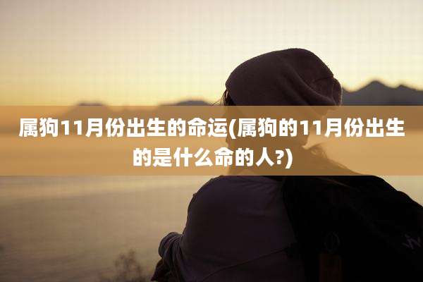 属狗11月份出生的命运(属狗的11月份出生的是什么命的人?)