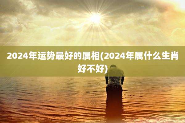 2024年运势最好的属相(2024年属什么生肖好不好)
