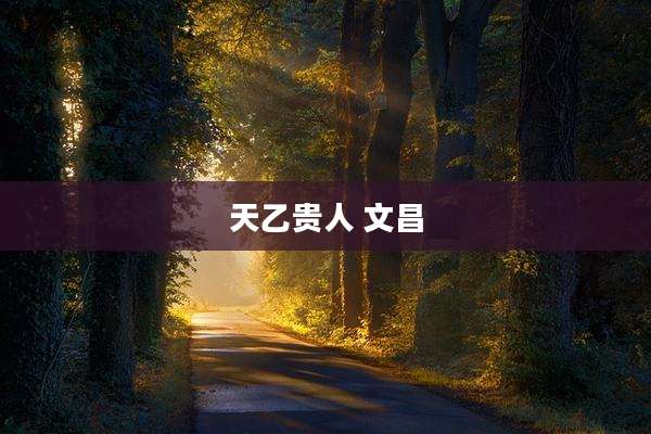 天乙贵人 文昌