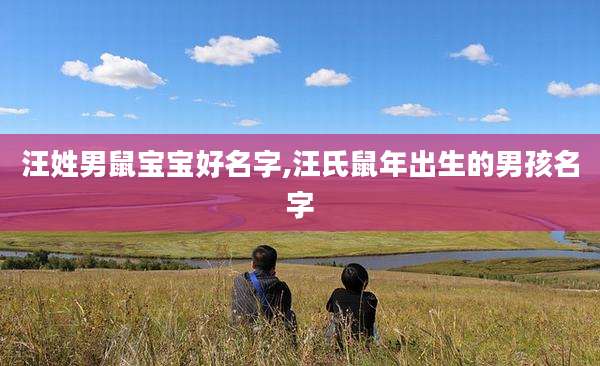 汪姓男鼠宝宝好名字,汪氏鼠年出生的男孩名字