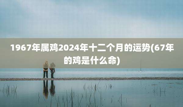1967年属鸡2024年十二个月的运势(67年的鸡是什么命)