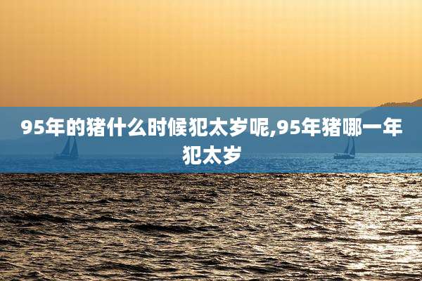 95年的猪什么时候犯太岁呢,95年猪哪一年犯太岁
